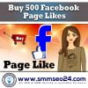 buy facebook fanpage likes