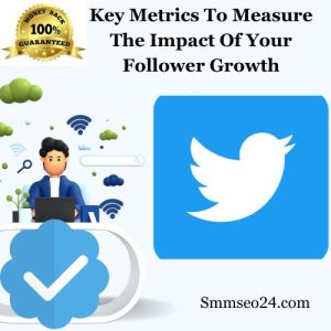 Key Metrics To Measure The Impact Of Your Follower Growth