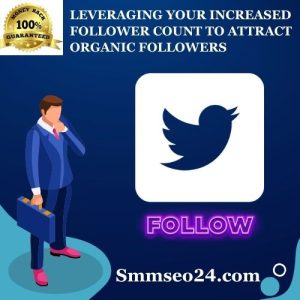 Leveraging Your Increased Follower Count To Attract Organic Followers