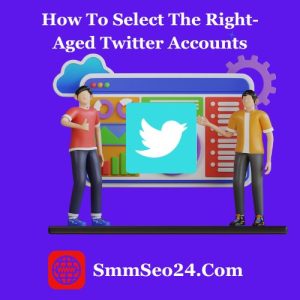 Buy old twitter accounts