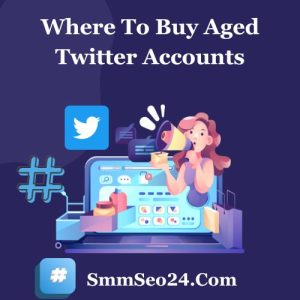Buy Aged Twitter Accounts