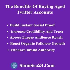 Buying Aged Twitter Accounts