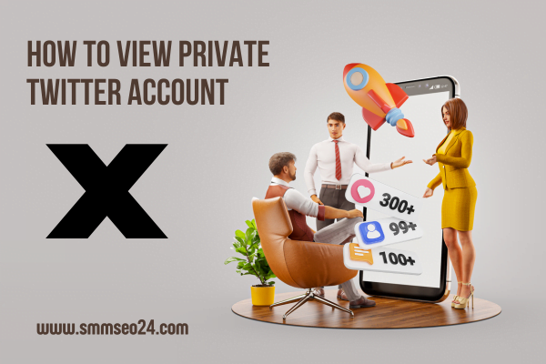 How to View Private Twitter Account