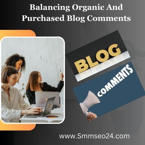 buy blog comment backlinks