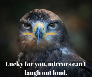 Facebook Funny Profile Pictures