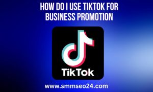 How do I use TikTok for business promotion